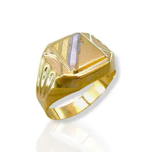 Мъжки златен пръстен с масивна плочка и диагонални линии 14K RG12666