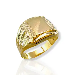 Мъжки златен пръстен с релефна рамка и мат-гланц акцент 14K RG12668