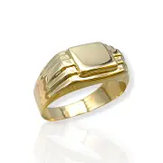 Мъжки златен пръстен с гладка правоъгълна форма 14K RG12189
