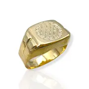 Мъжки златен пръстен с диамантирана овална плочка 14K RG12191