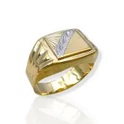 Мъжки златен пръстен с фасетирана правоъгълна плочка 14K RG12194