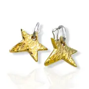 Златни обеци звезди с клипсове от бяло злато 14K RG13312