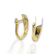 Златни обеци с асиметрична гланцова форма 14K RG10831