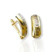 Дамски златни обеци с матиран централен релеф 14K RG13202